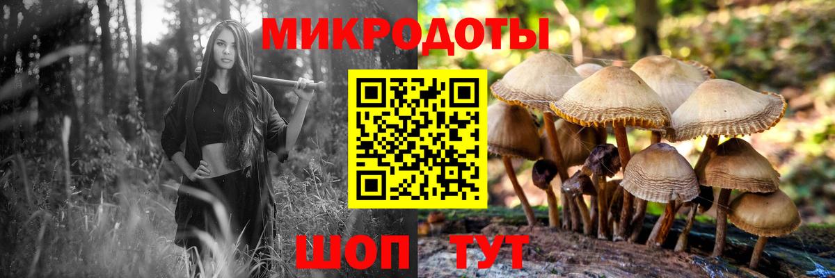 Галлюциногенные грибы Psilocybine cubensis  Вход с VPN  Учалы  цены   Галлюциногенные грибы мухоморы 